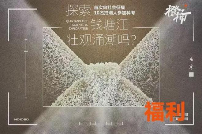 叶冰箱贴、不死鸟盆栽橙柿福利上新啦麻将胡了app一乐拉面杯、爆款树(图10)